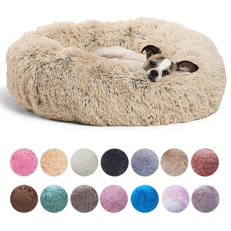 Plush-Coussin Peluche pour Chien