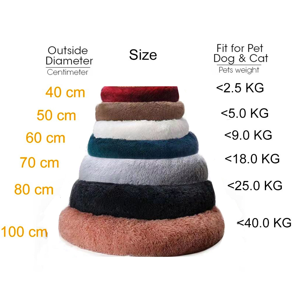 Plush-Coussin Peluche pour Chien
