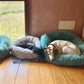 Plush-Coussin Peluche pour Chien