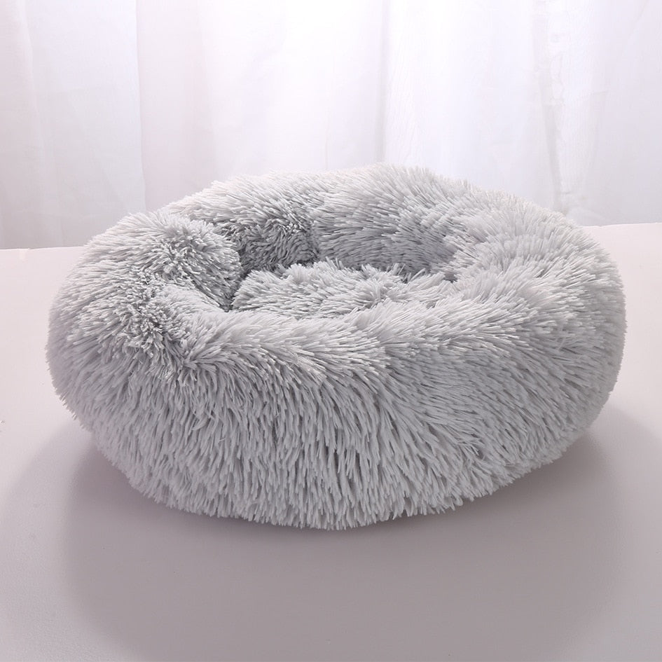 Plush-Coussin Peluche pour Chien