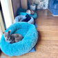 Plush-Coussin Peluche pour Chien
