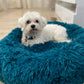 Plush-Coussin Peluche pour Chien