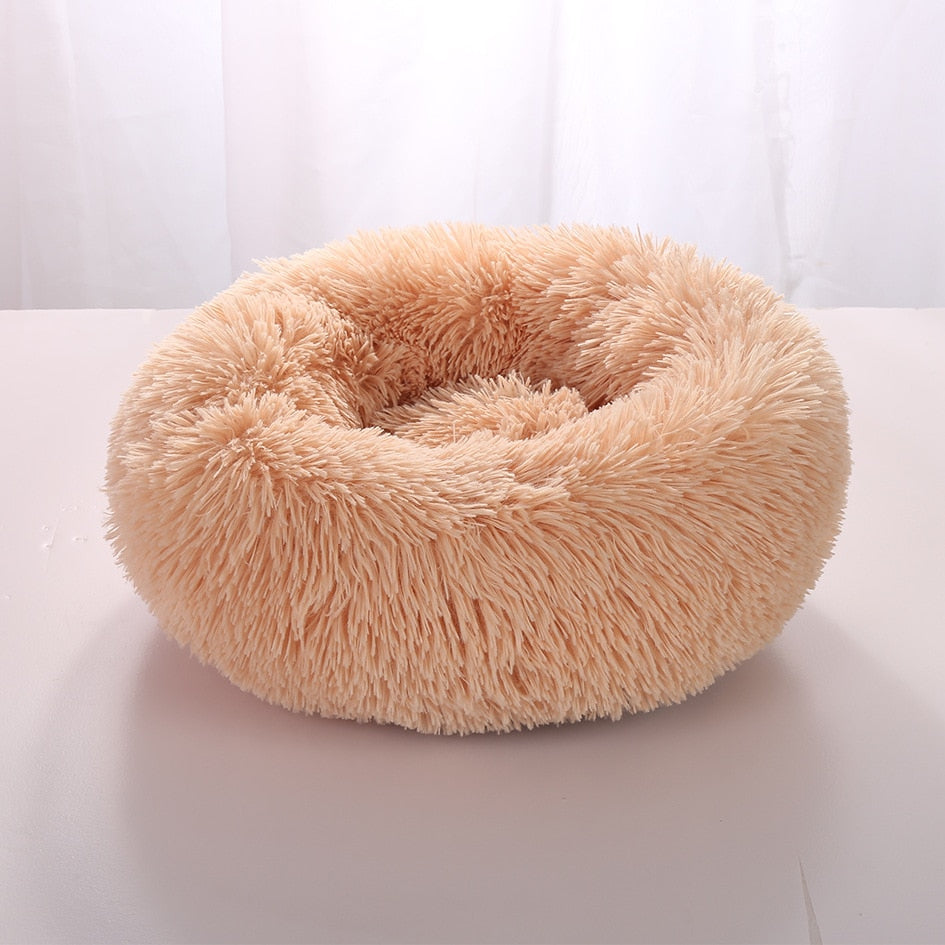 Plush-Coussin Peluche pour Chien