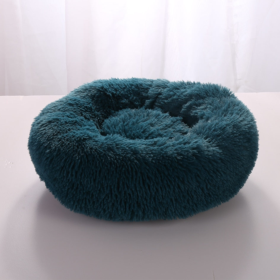 Plush-Coussin Peluche pour Chien
