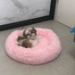 Plush-Coussin Peluche pour Chien
