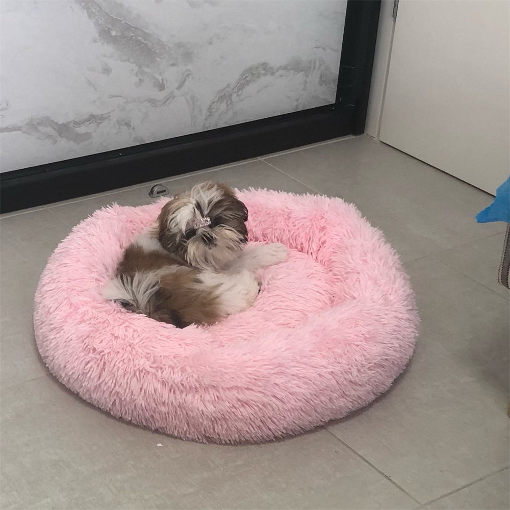 Plush-Coussin Peluche pour Chien