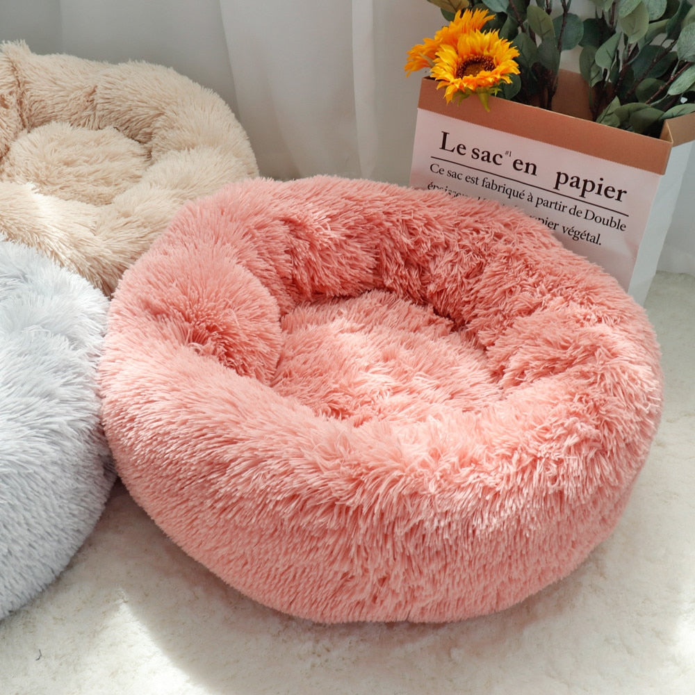 Plush-Coussin Peluche pour Chien
