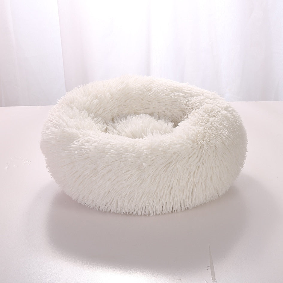 Plush-Coussin Peluche pour Chien