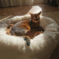 Plush-Coussin Peluche pour Chien