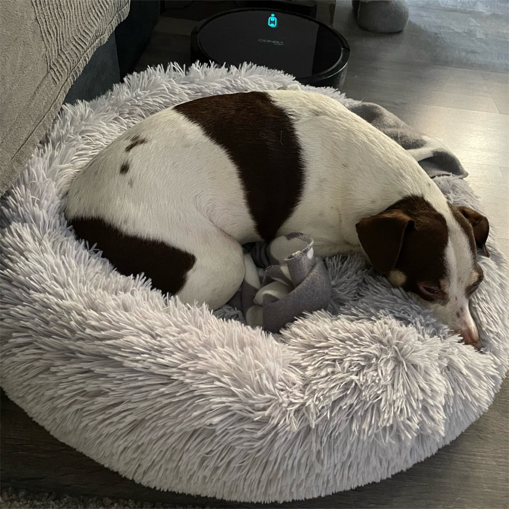 Plush-Coussin Peluche pour Chien