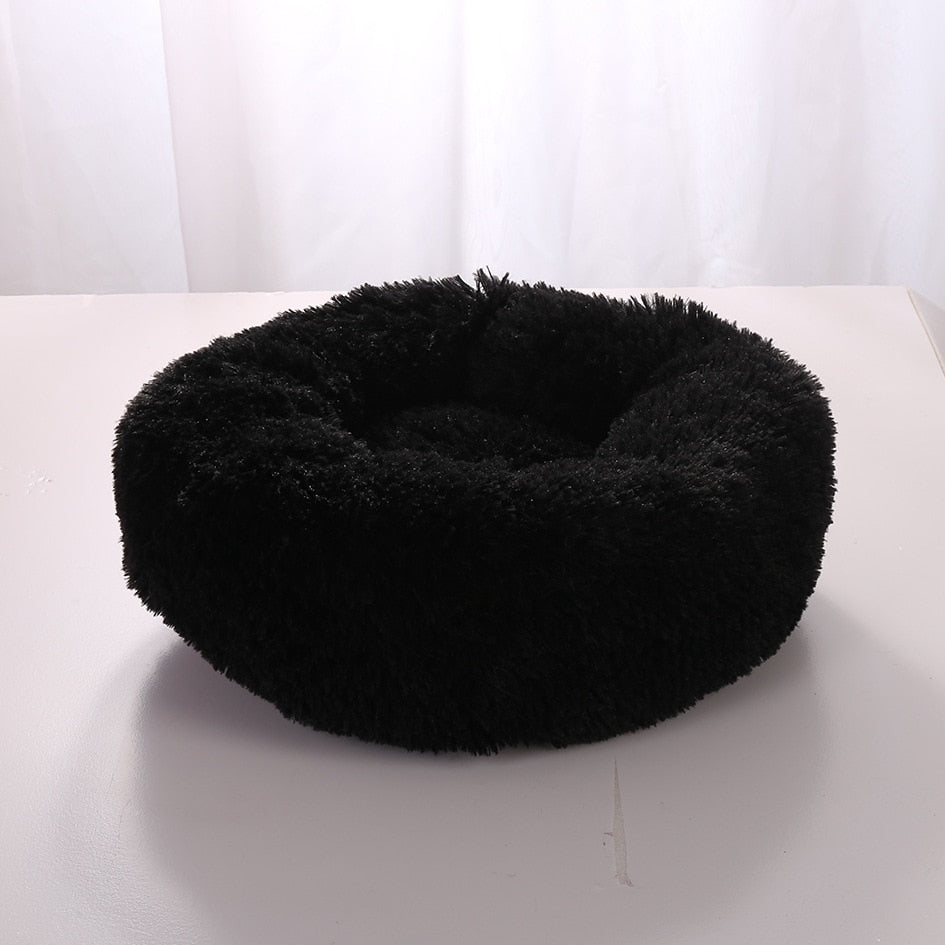 Plush-Coussin Peluche pour Chien