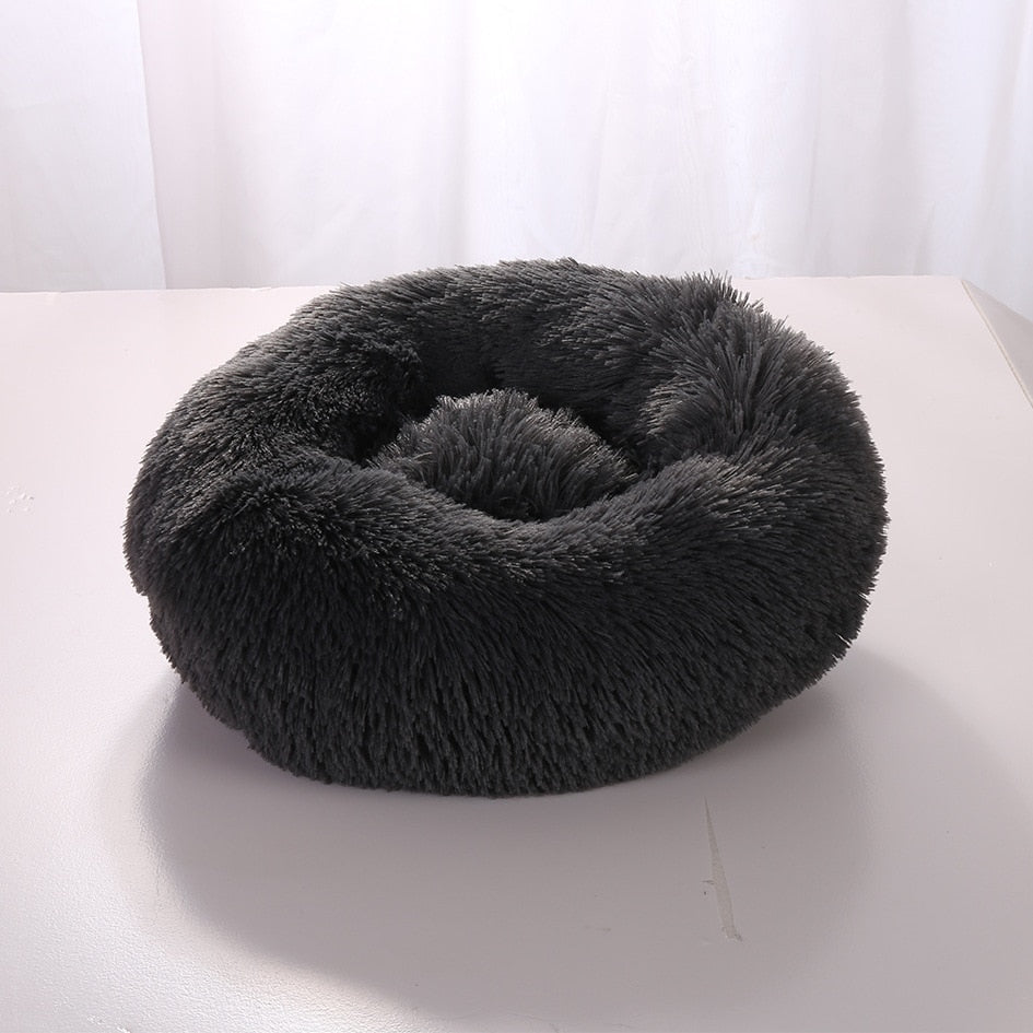 Plush-Coussin Peluche pour Chien
