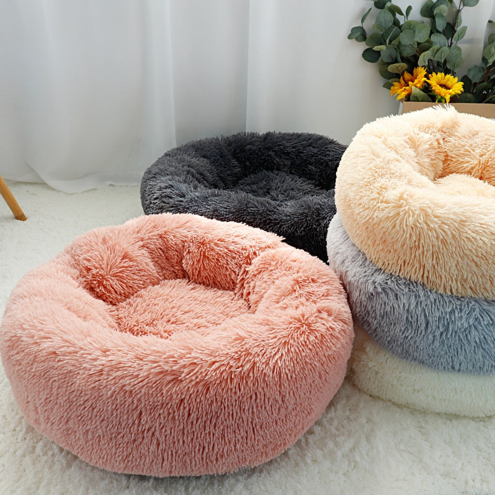 Plush-Coussin Peluche pour Chien