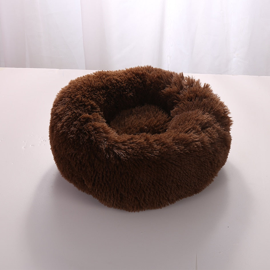 Plush-Coussin Peluche pour Chien