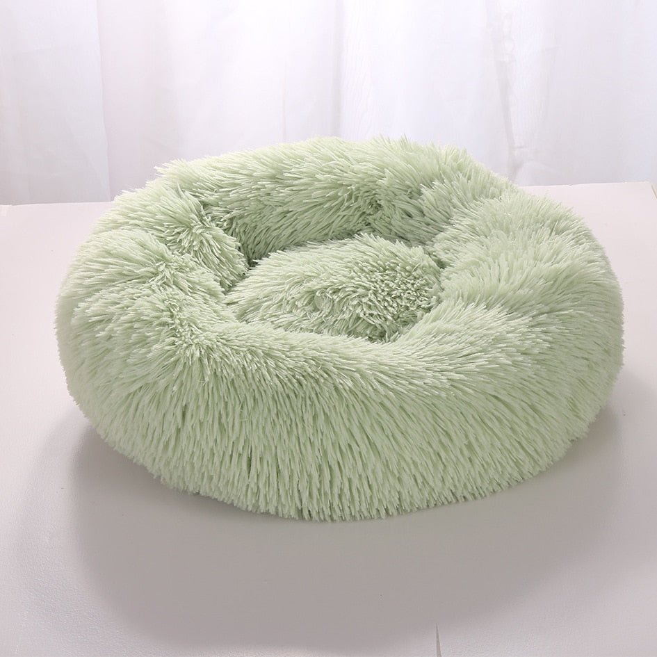 Plush-Coussin Peluche pour Chien
