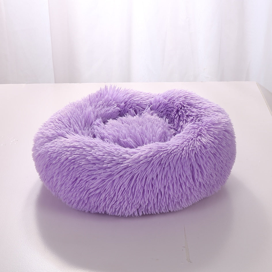 Plush-Coussin Peluche pour Chien