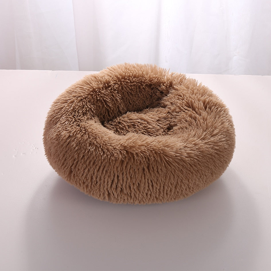 Plush-Coussin Peluche pour Chien