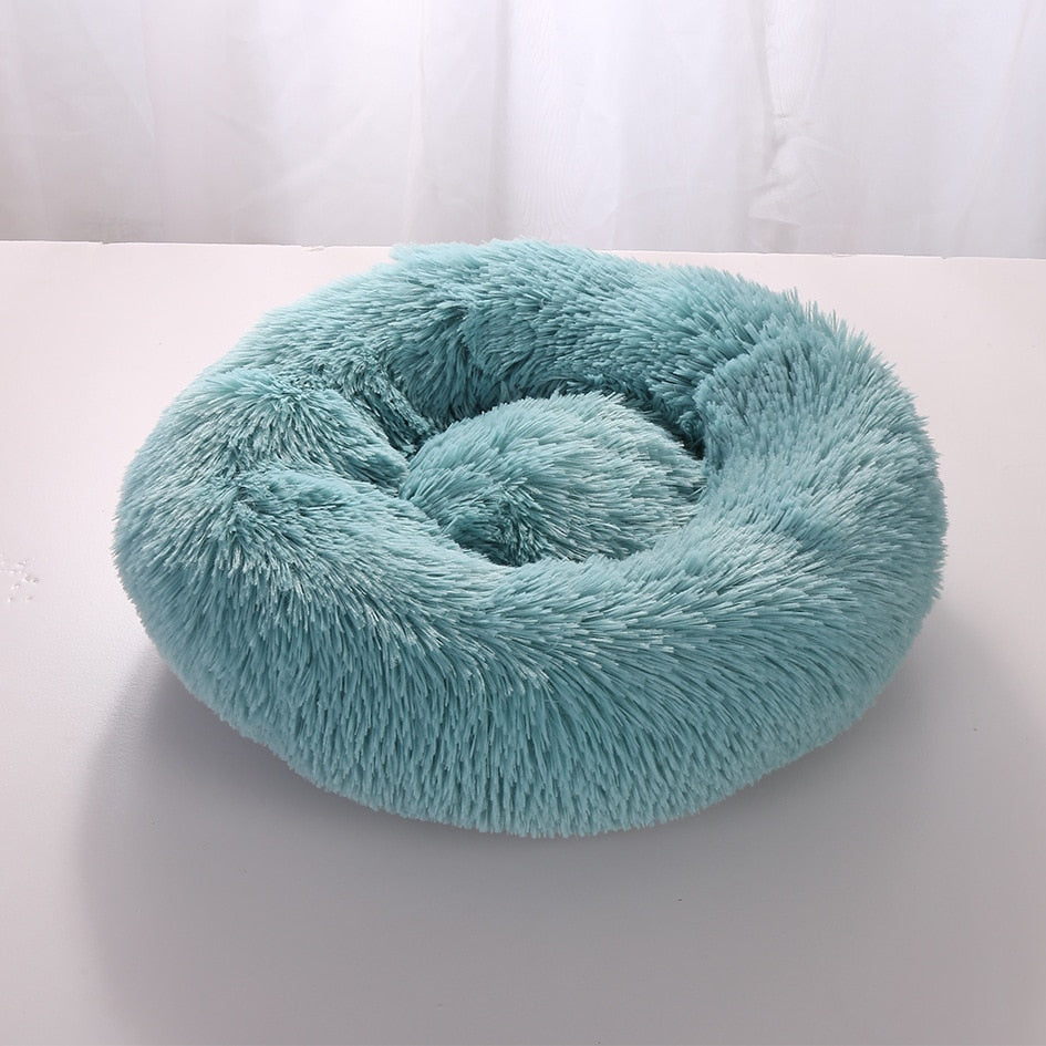 Plush-Coussin Peluche pour Chien