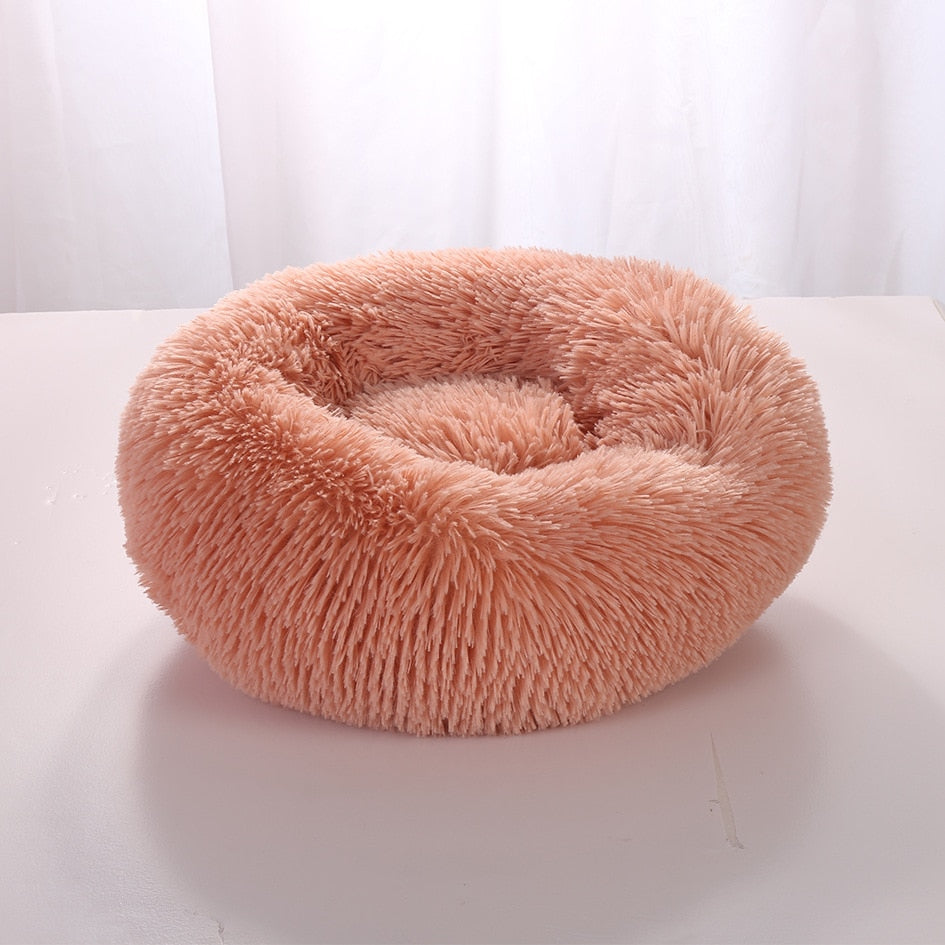 Plush-Coussin Peluche pour Chien