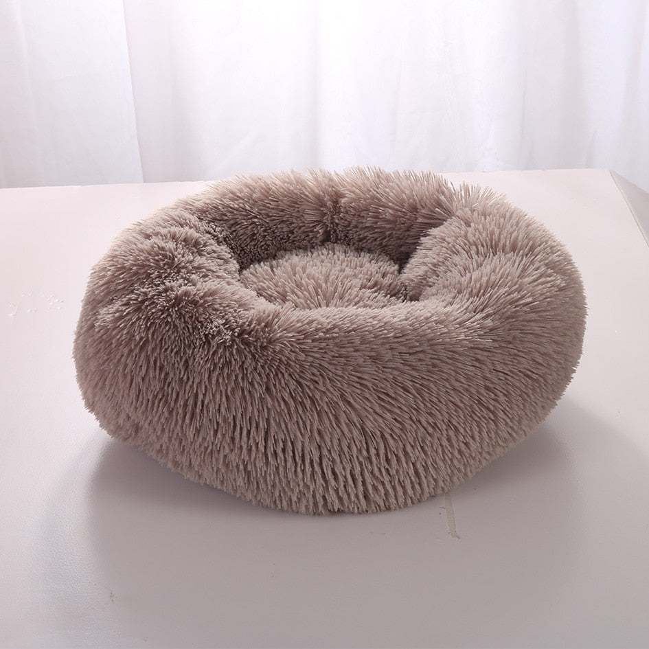 Plush-Coussin Peluche pour Chien