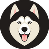 Boutique2Chien