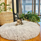 Plush-Coussin Peluche pour Chien